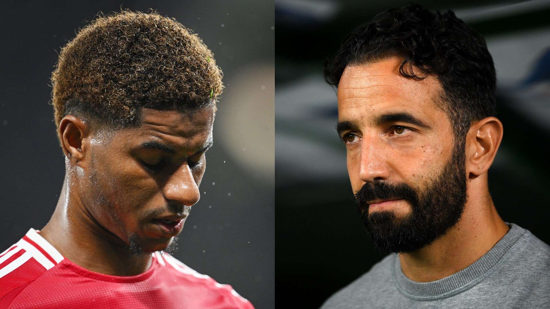 季中展现出 季中展现出